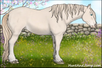 Horse Color:Perlino 
