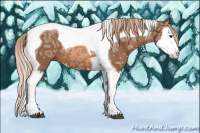 Horse Color:Liver Chestnut Ice Splash Tobiano 