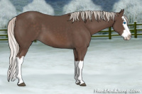 Horse Color:Silver Black Splash 