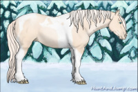 Horse Color:Gold Cream Champagne Pearl Tobiano