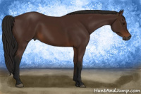 Horse Color:Gray Bay 
