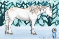Horse Color:Silver Classic Champagne Ice Dun Splash 