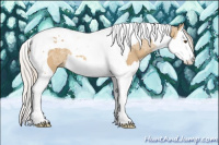 Horse Color:Silver Buckskin Ice Dun Splash Tobiano 