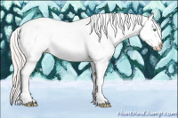 Horse Color:White Spotted Silver Sable Champagne Ice Dun Splash 