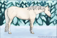 Horse Color:Silver Smoky Grullo Pearl Sabino Splash 