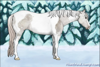 Horse Color:Silver Grullo Ice Tobiano 