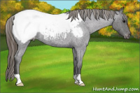 Horse Color:Smoky Blue Roan Near Fewspot 