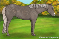 Horse Color:Silver Black 