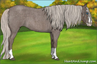 Horse Color:Silver Blue Roan Splash