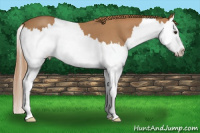 Horse Color:Red Roan Splash 