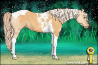 Horse Color:Palomino Dun Tobiano