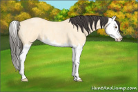 Horse Color:Buckskin Roan Dun Splash 
