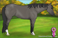 Horse Color:Grullo