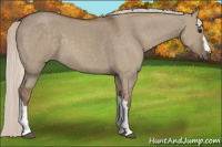 Horse Color:Silver Grullo 