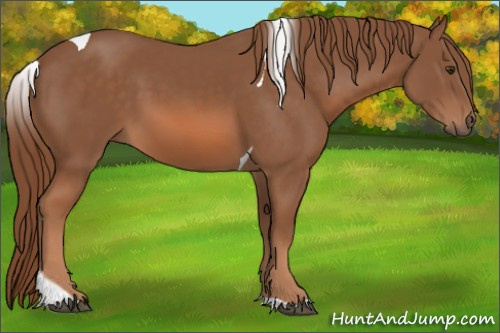 Horse Color: Chestnut Tobiano 