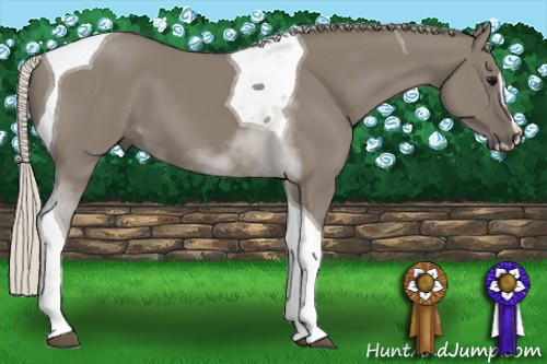 Horse Color: Silver Smoky Grullo Sabino Tobiano 