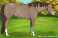 Horse Color:Classic Champagne 