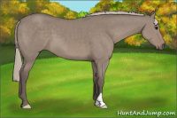 Horse Color:Silver Brown Dun