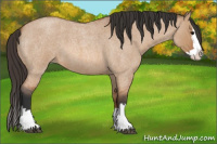 Horse Color:Bay Roan Dun Splash