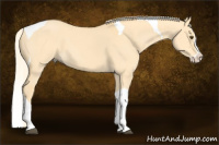 Horse Color:Palomino Dun Splash Tobiano