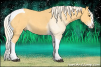 Horse Color:Palomino Roan Splash Tobiano Rabicano