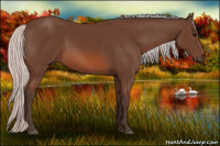 Horse Color:Silver Bay 