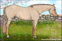 Horse Color:Red Dun Roan