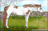 Horse Color:White Spotted Liver Chestnut Frame 