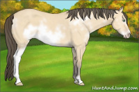 Horse Color:White Spotted Amber Cream Champagne Dun Frame