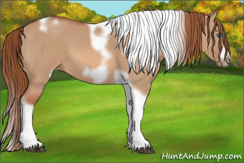 Horse Color: White Spotted Red Dun Tobiano Frame 