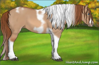 Horse Color:White Spotted Red Dun Tobiano Frame 