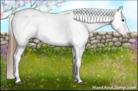 Horse Color:Chestnut Near Leopard 