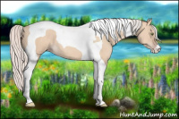 Horse Color:Silver Amber Champagne Dun Tobiano 