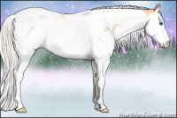 Horse Color:Silver Amber Champagne Pearl Splash Tobiano Rabicano