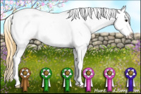 Horse Color:White Spotted Buckskin Roan Blanket Rabicano 