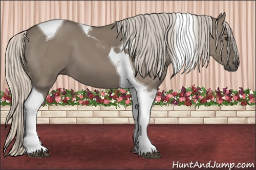 Horse Color: Silver Buckskin Dun Tobiano 