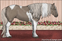 Horse Color:Silver Buckskin Dun Tobiano