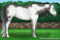Horse Color:Grullo Splash Frame 