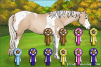 Horse Color:Silver Grullo Pearl Sabino Tobiano