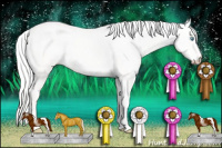 Horse Color:Silver Perlino Dun 