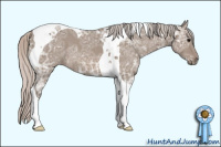 Horse Color:Silver Grullo Ice Tobiano