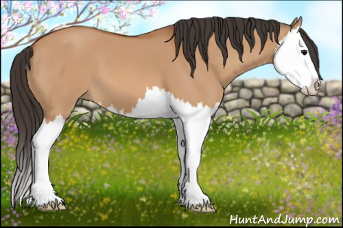 Horse Color: Bay Dun Splash 