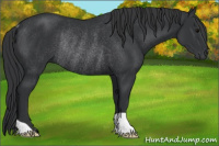 Horse Color:Brown Rabicano