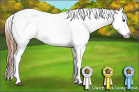 Horse Color:Bay Varnish 