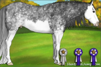 Horse Color:White Spotted Black Splash