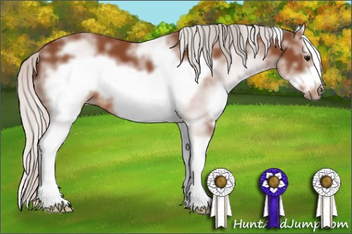 Horse Color: White Spotted Silver Bay Splash Frame 