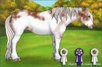 Horse Color:White Spotted Silver Bay Splash Frame