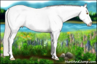 Horse Color:Silver Sable Champagne Roan Frame Appaloosa 