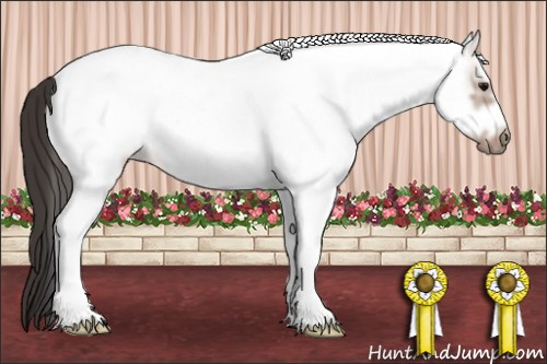Horse Color: White Spotted Bay Frame 