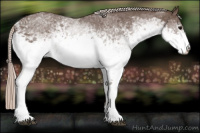 Horse Color:White Spotted Silver Black 
